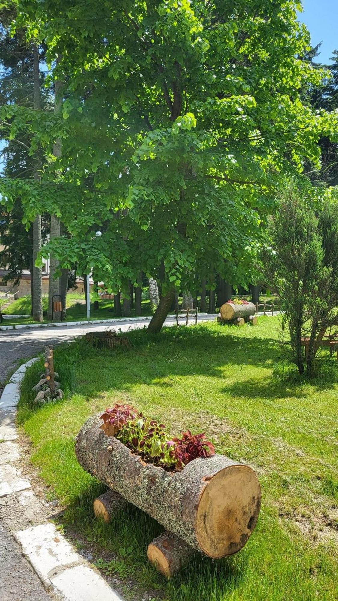 Pm Services Borovets Garden Apartments المظهر الخارجي الصورة