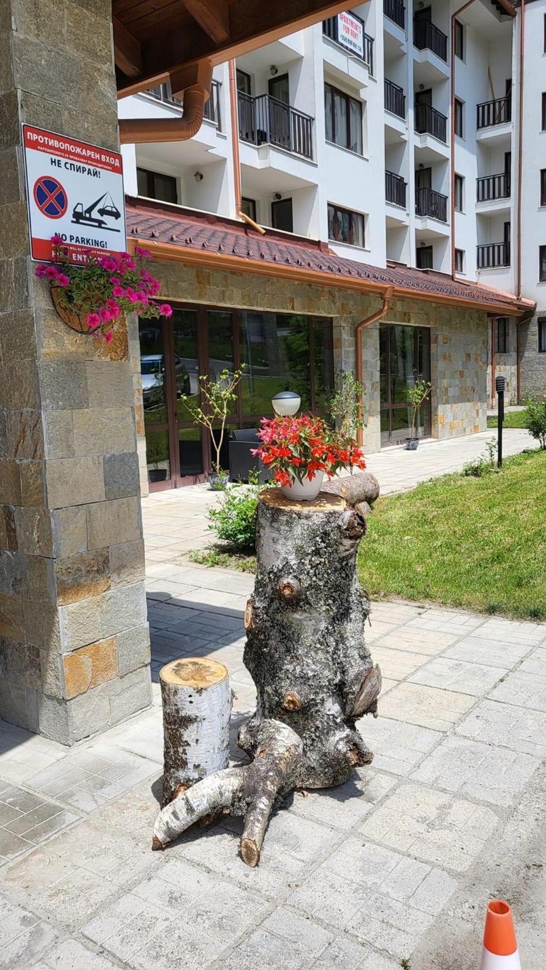 Pm Services Borovets Garden Apartments المظهر الخارجي الصورة